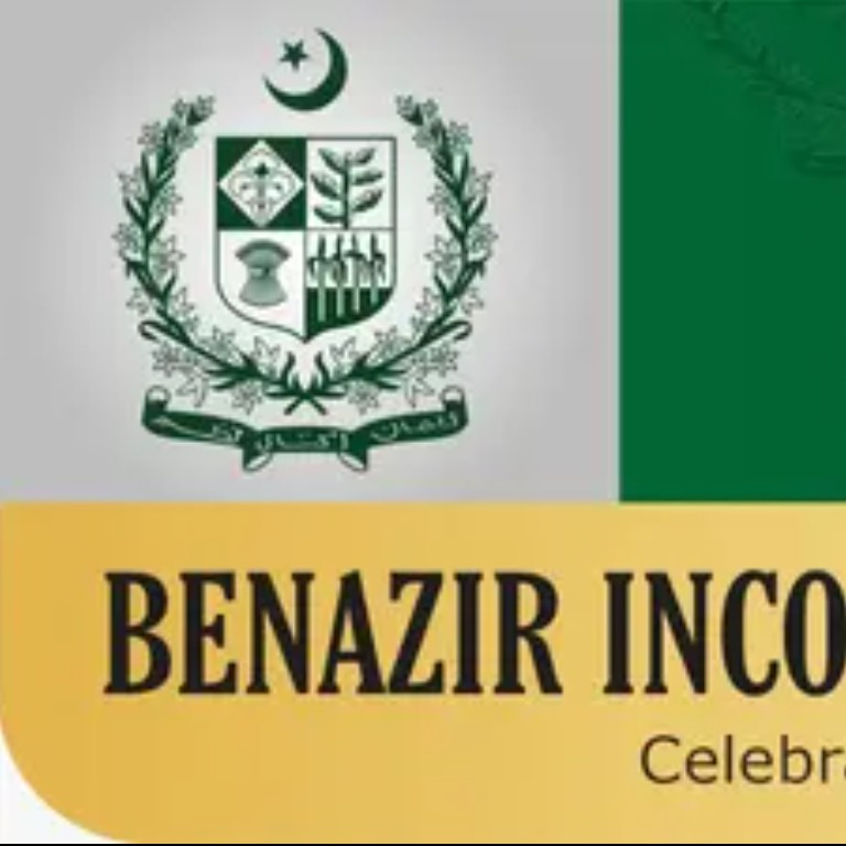 Benazir Undergraduate Scholarship Program (BUSP)​